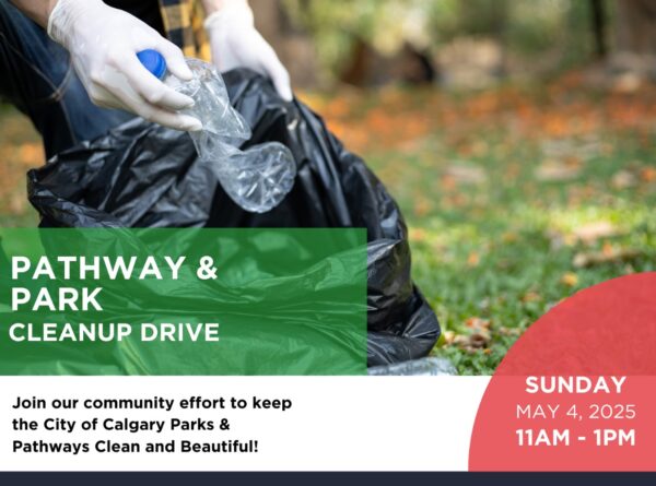 Pathway and Park Cleanup